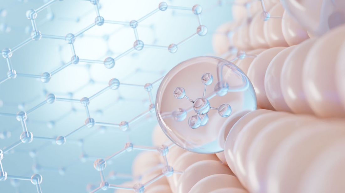 FORTIBONE® Bioactive Collagen Peptides: What Is FORTIBONE® Collagen and Is It Safe?