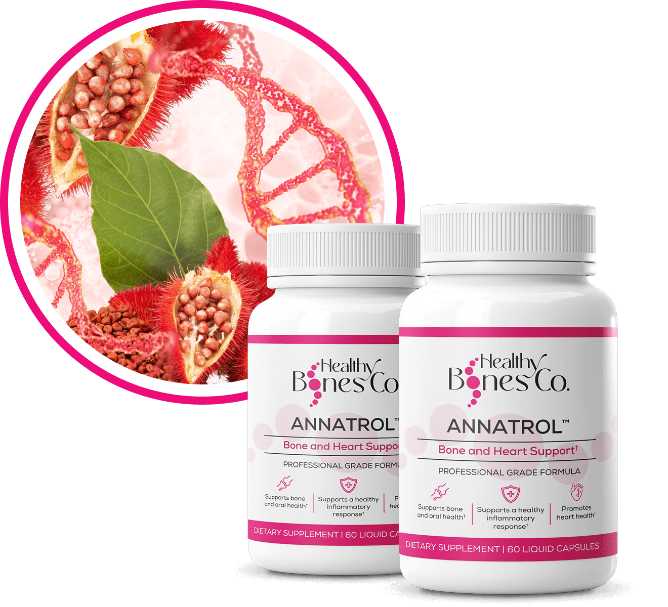ANNATROL™ BONE SUPPORT