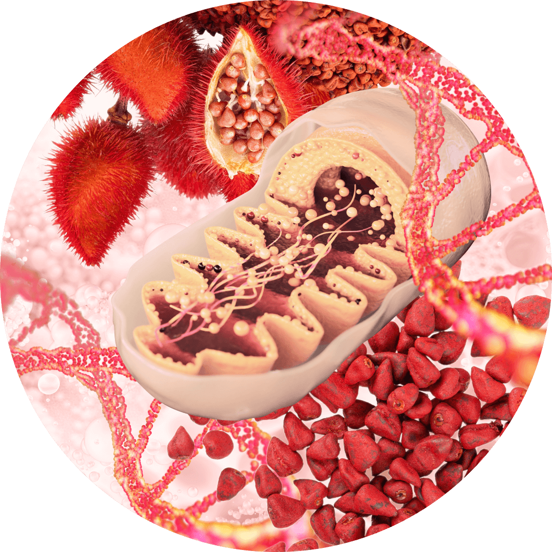 GERANYLGERANIOL (GG)