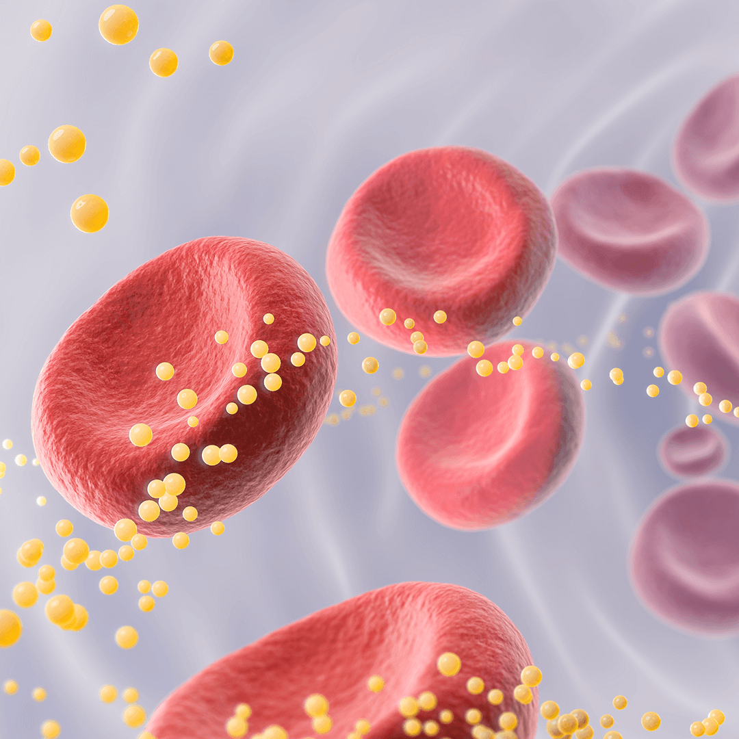 Healthy Cholesterol Levels