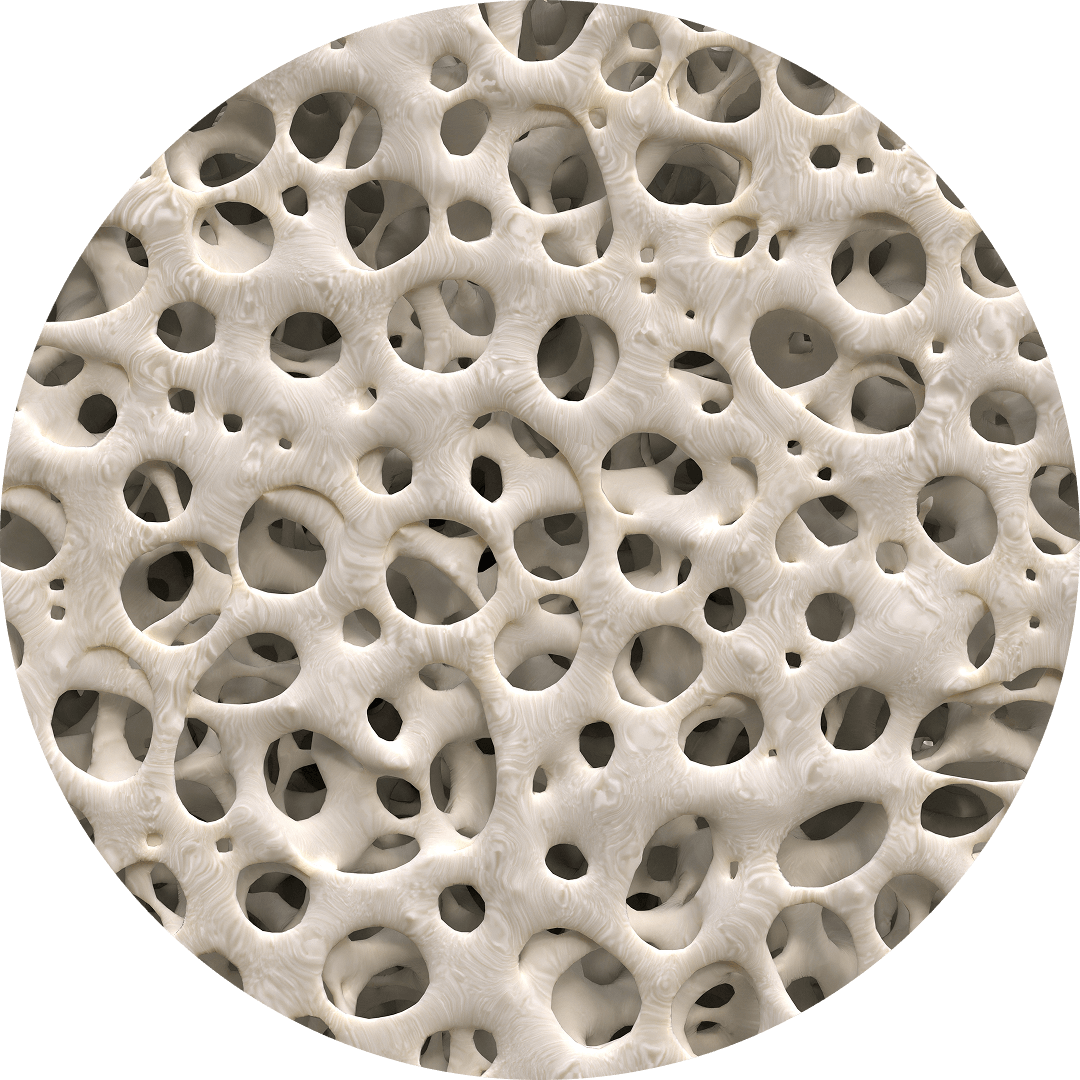 Improved Bone Turnover