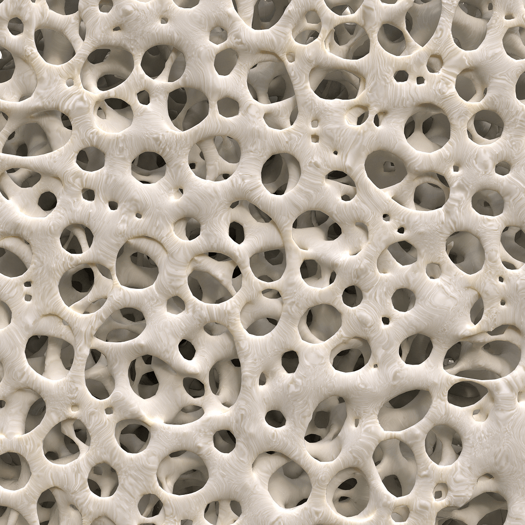 FORTIBONE®