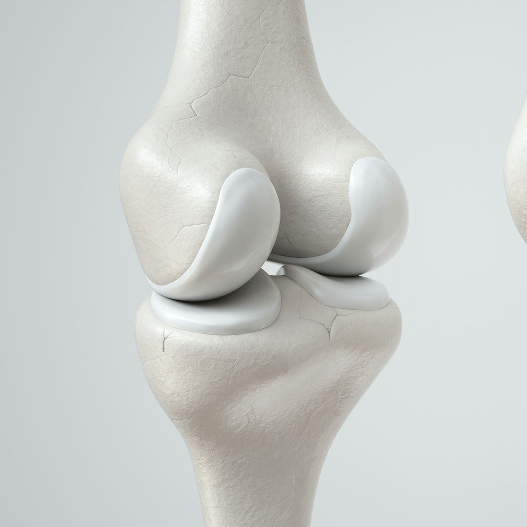Joint & Cartilage Health
