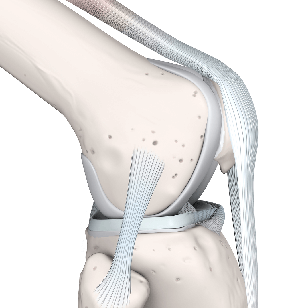 Tendon & Ligament Resilience