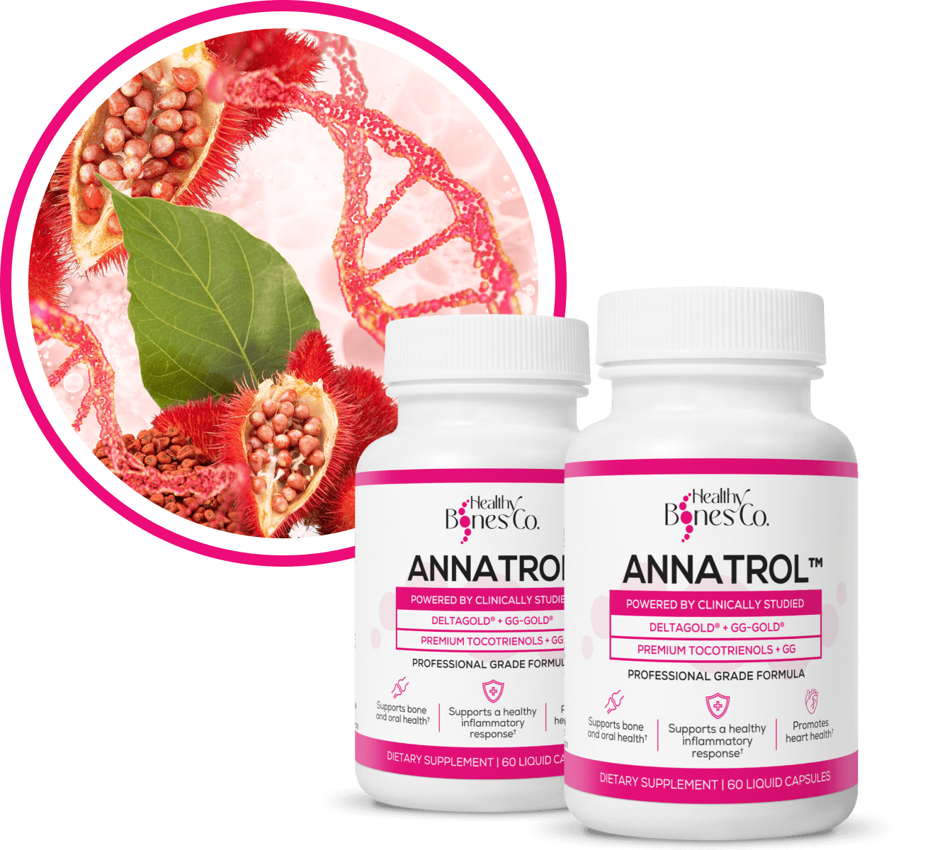 ANNATROL™ BONE SUPPORT