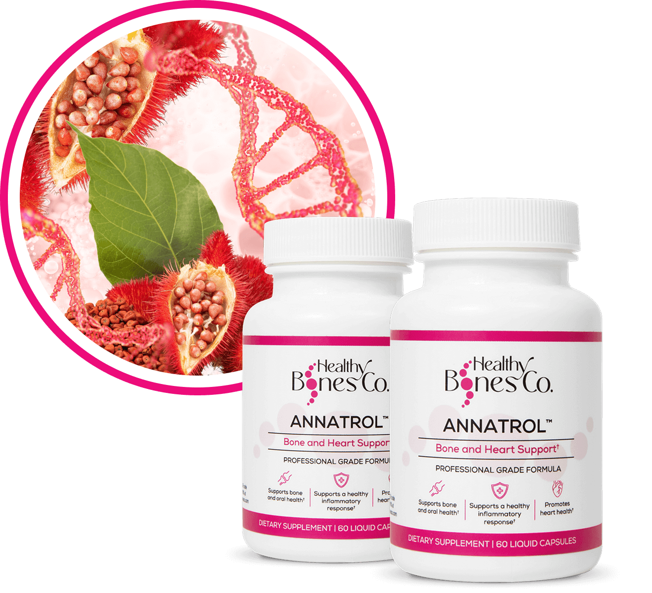 ANNATROL™ BONE SUPPORT