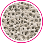 Bone Health Study.