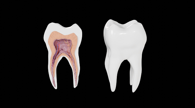 Improving bone in tooth.